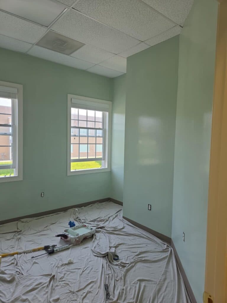 Painting and Electrical Projects