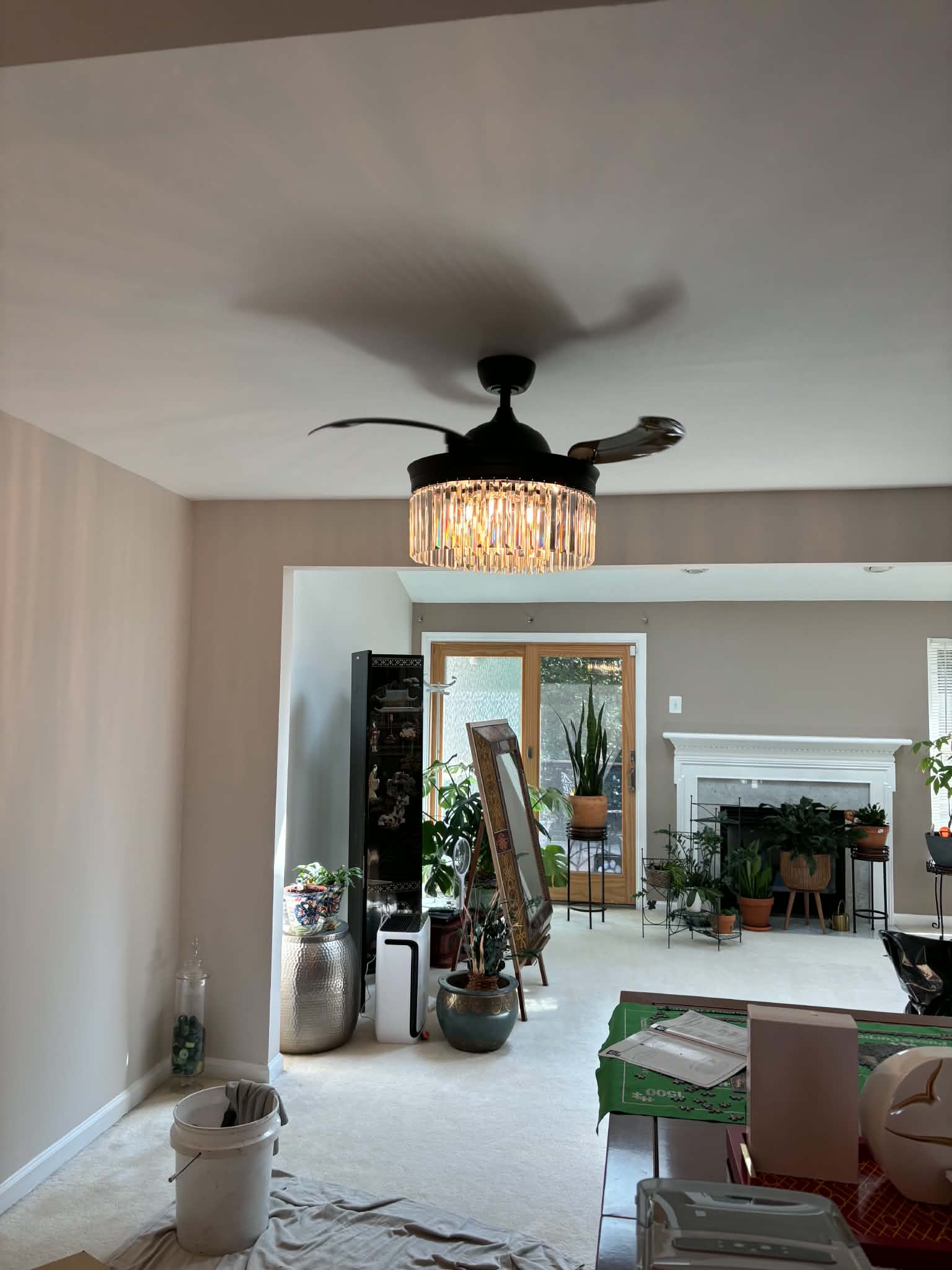 Painting and Electrical Projects